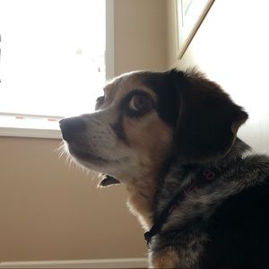 Meet your Posher, Elena